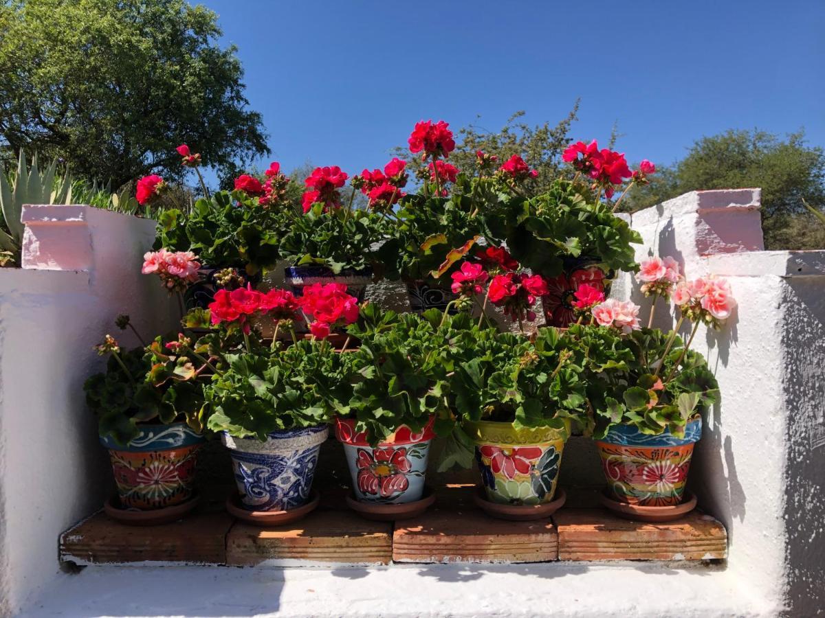 Bed and Breakfast Casa La Alegria 37 Villanueva de Tapia Zewnętrze zdjęcie